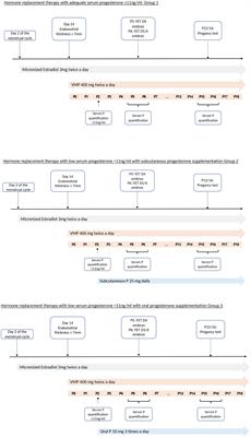 Individualized luteal phase support based on serum progesterone levels in frozen-thawed embryo transfer cycles maximizes reproductive outcomes in a cohort undergoing preimplantation genetic testing